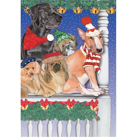 Pipsqueak Productions Mix Dog Holiday Boxed Cards C877